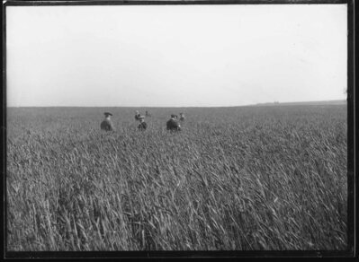 Archived Images\Photo images\Phd\7001P-7500P\7318P.jpg; 7318P; ;